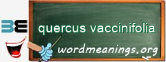 WordMeaning blackboard for quercus vaccinifolia